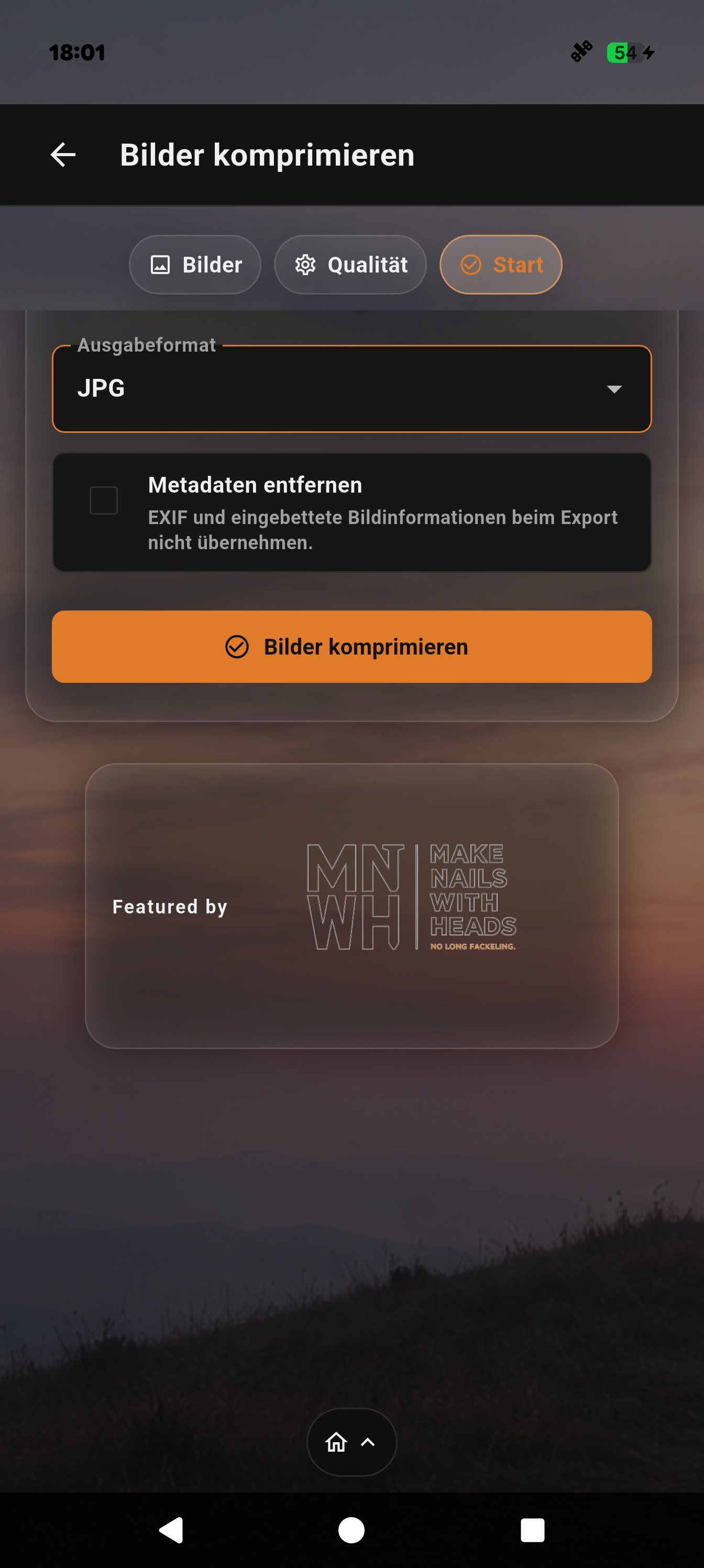 Startansicht mit Ausgabeformat, Metadatenoption und Komprimieren-Schaltfläche