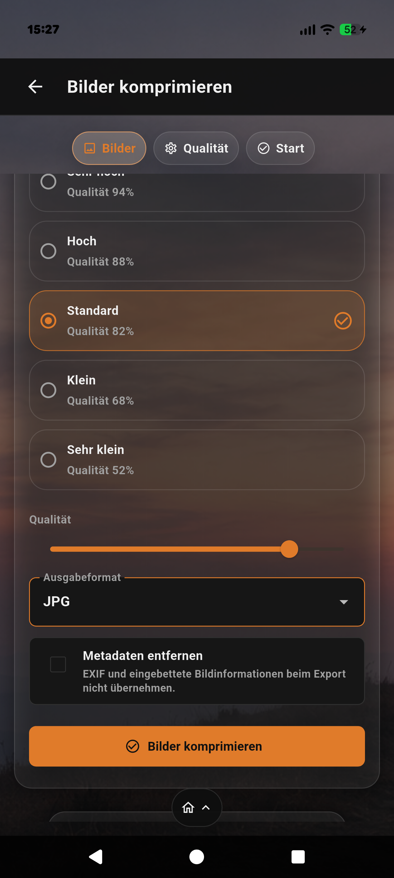 Startansicht mit Ausgabeformat, Metadatenoption und Komprimieren-Schaltfläche